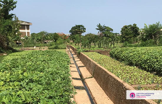  Wider Update Publishes Baseline report on Reuse of Wastewater for Urban Agriculture in Accra 